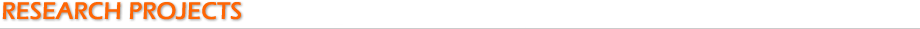 Current and Completed Research Projects Current and Completed Research Projects